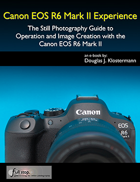 Recommended Canon EOS R Settings (EOS R Setup Guide)