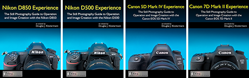 Full Stop Camera Guides Nikon Canon dSLR user manual 